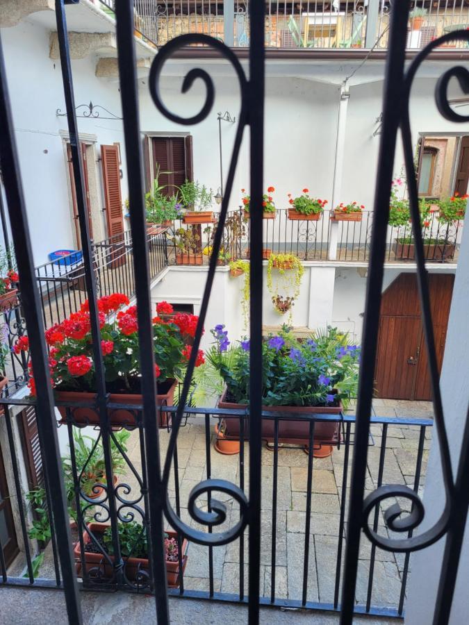 Casa Onorina, Relax E Tranquillita Sul Lago D'Orta Bolzano Novarese Buitenkant foto
